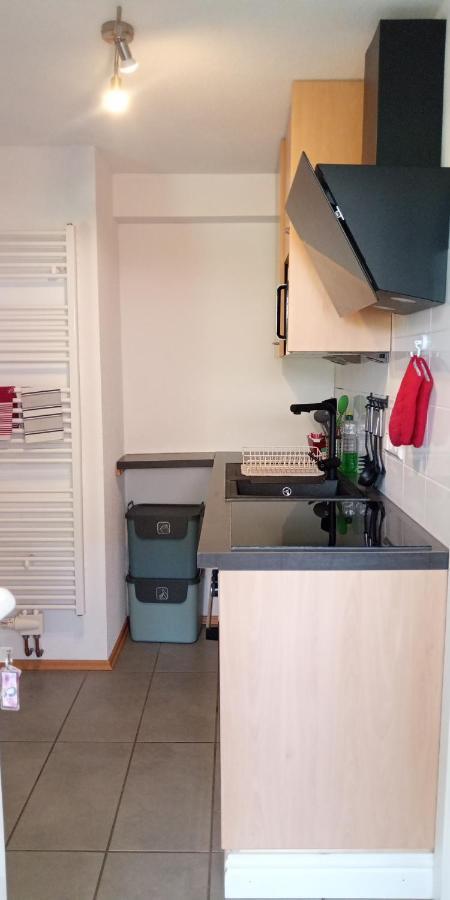 Ferienwohnung In Grenzach Luaran gambar