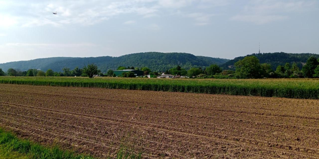 Ferienwohnung In Grenzach Luaran gambar