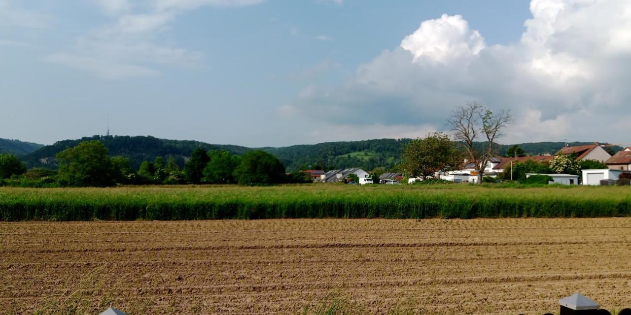 Ferienwohnung In Grenzach Luaran gambar
